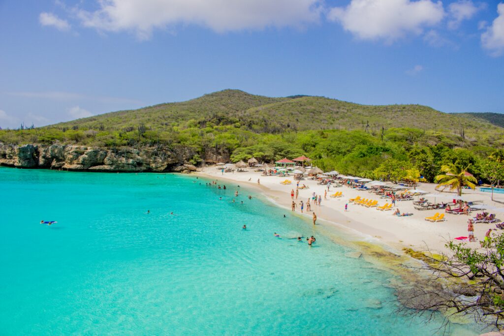 paradigm bonaire